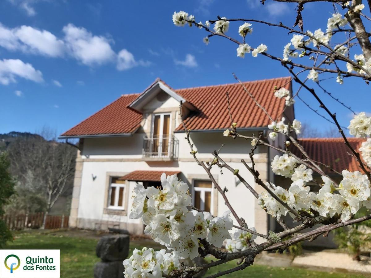 Quinta Das Fontes - Alojamento Rustico Local E Turismo Rural São Pedro do Sul Exterior foto