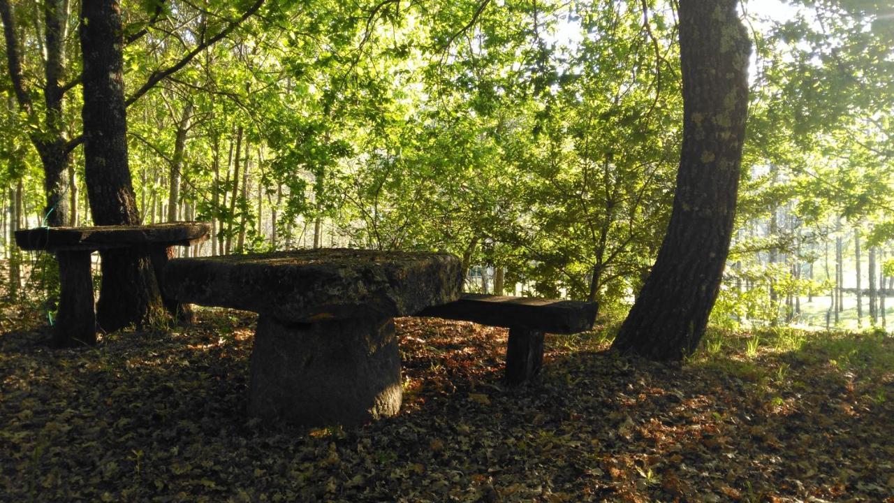 Quinta Das Fontes - Alojamento Rustico Local E Turismo Rural São Pedro do Sul Exterior foto