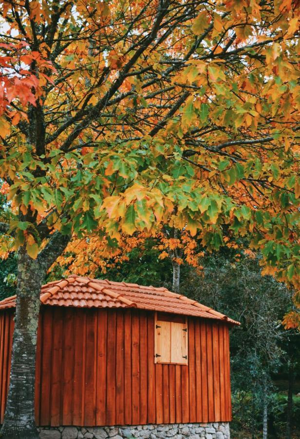Quinta Das Fontes - Alojamento Rustico Local E Turismo Rural São Pedro do Sul Exterior foto
