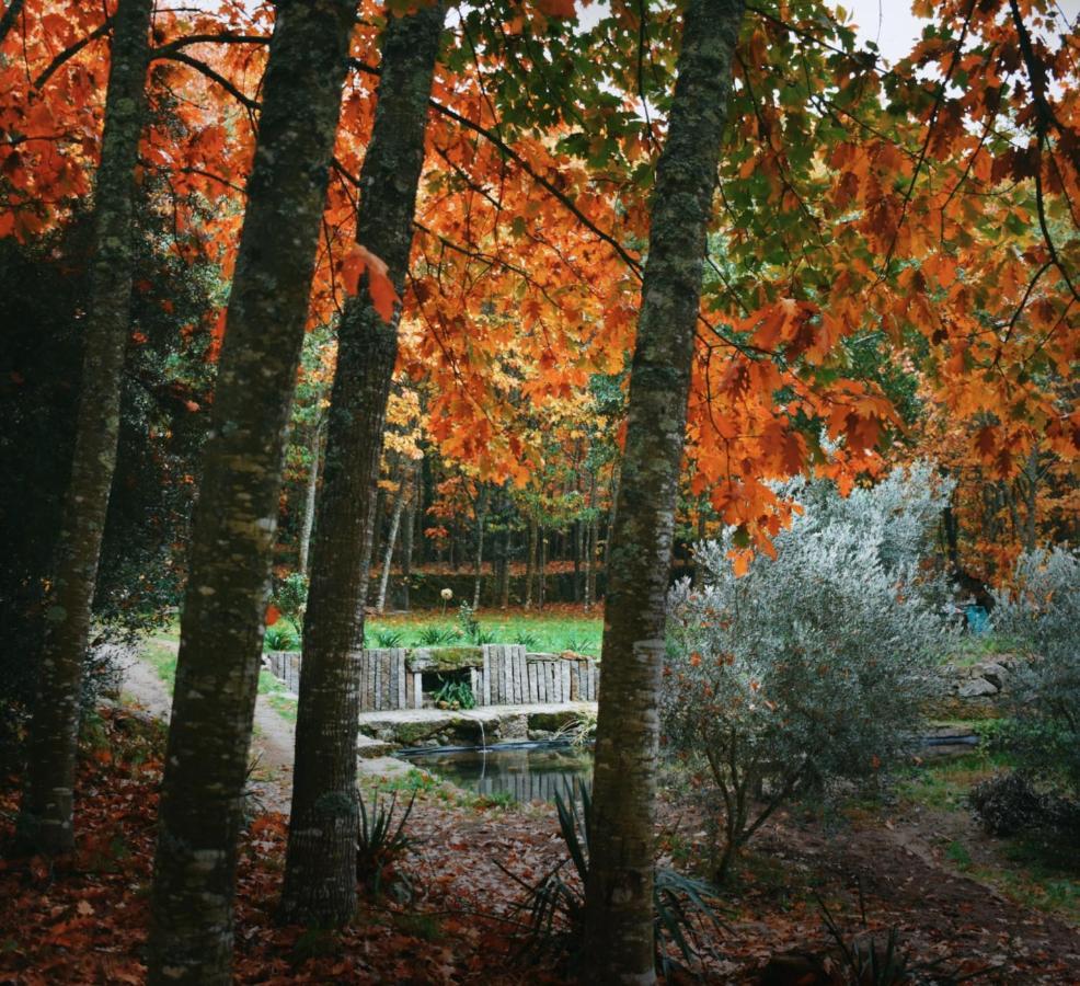 Quinta Das Fontes - Alojamento Rustico Local E Turismo Rural São Pedro do Sul Exterior foto