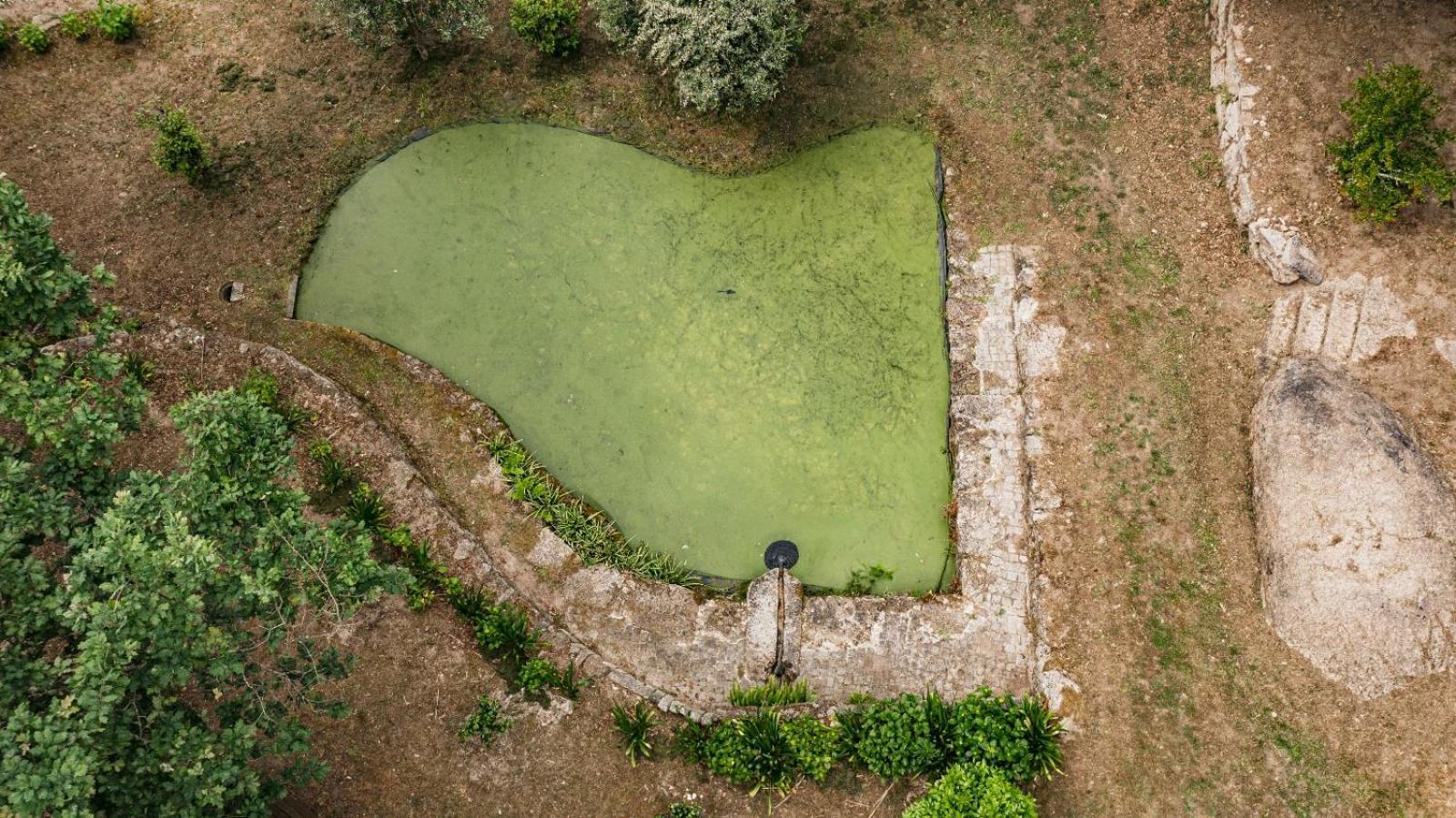 Quinta Das Fontes - Alojamento Rustico Local E Turismo Rural São Pedro do Sul Exterior foto