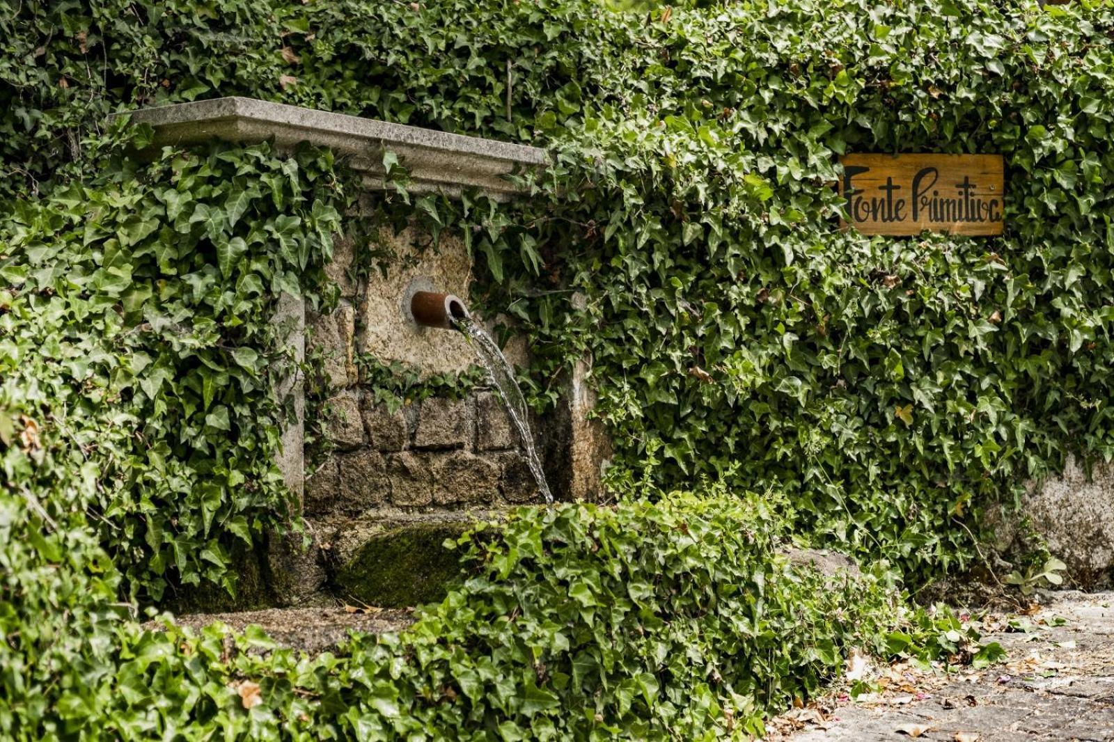 Quinta Das Fontes - Alojamento Rustico Local E Turismo Rural São Pedro do Sul Exterior foto